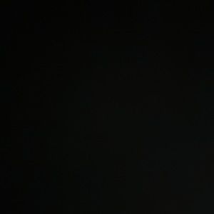 Meet your Posher, Rudy